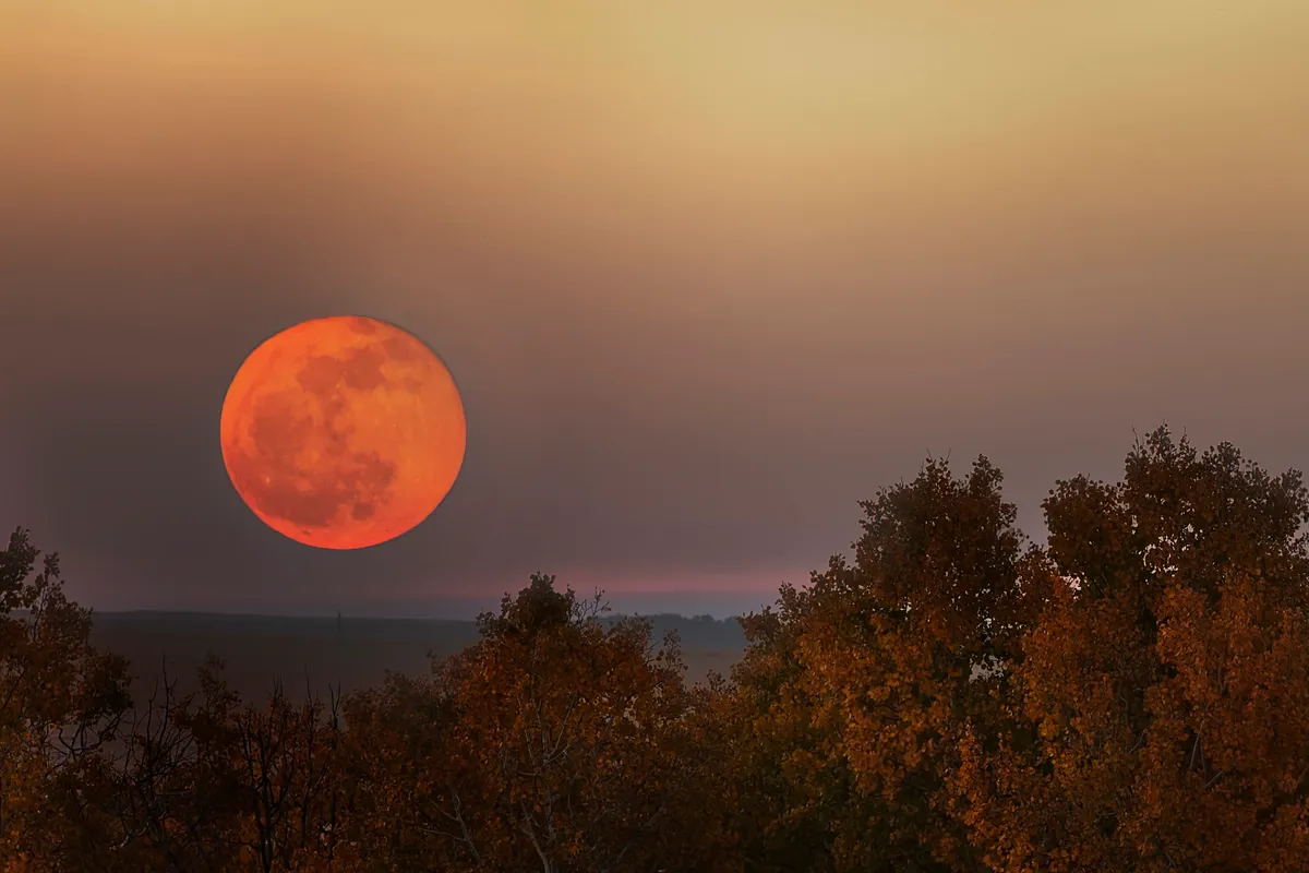 Orange full Moon. Credit: Ambre Haller / Getty Images