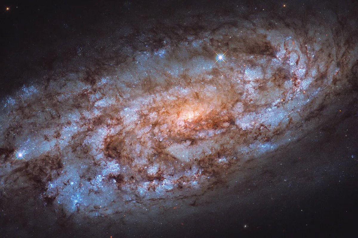 Galaxy NGC 1792, as seen by the Hubble Space Telescope. Credit: ESA/Hubble & NASA, J. Lee. Acknowledgement: Leo Shatz