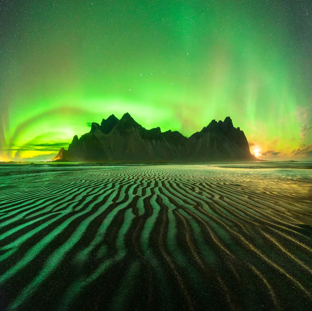 Emerald Roots, by Lorenzo Ranieri Tenti, Vestrahorn, Stokksnes, Iceland. Category: Aurorae Equipment: Sony ILCE-7S camera, 14 mm f/2.8, ISO 6400, 25-second exposure; Foreground: 23 seconds, Aurora: 8 seconds