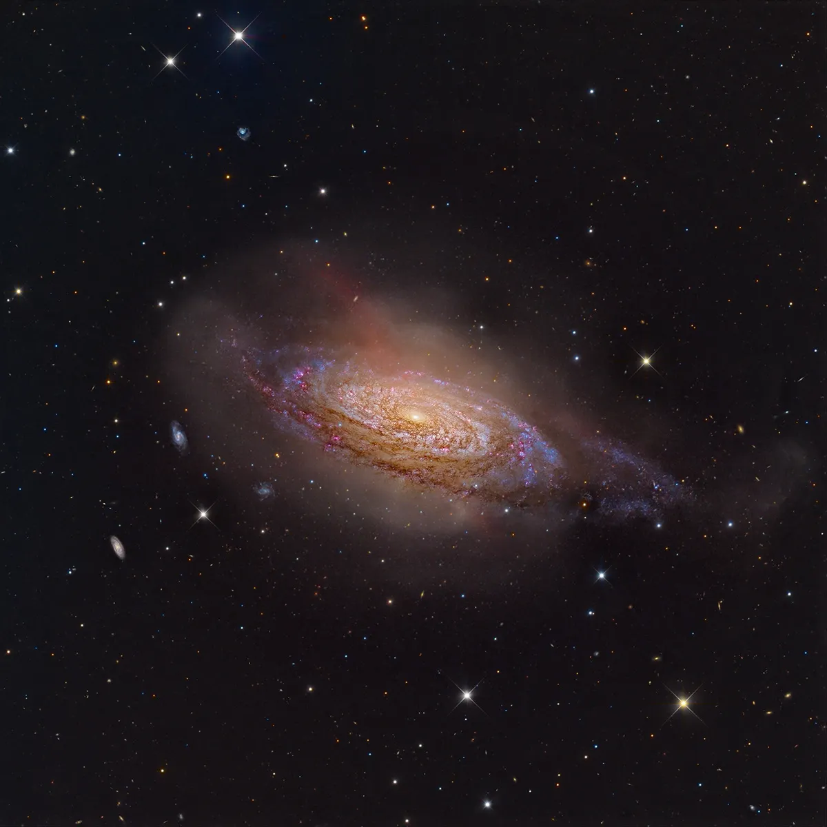 NGC 3521: Marquise in the Sky, by Mark Hanson; Mike Selby, El Sauce Observatory, Río Hurtado, Chile Category: Galaxies Equipment: Planewave CDK 1000 and CDK 700 telescopes, Chroma filters, FLI 16803 camera, 6,000 mm f/6 and 4,550 mm f/6.5, multiple 900-second Luminance exposures (19 hours total exposure), 5-hour exposure per RGB filter