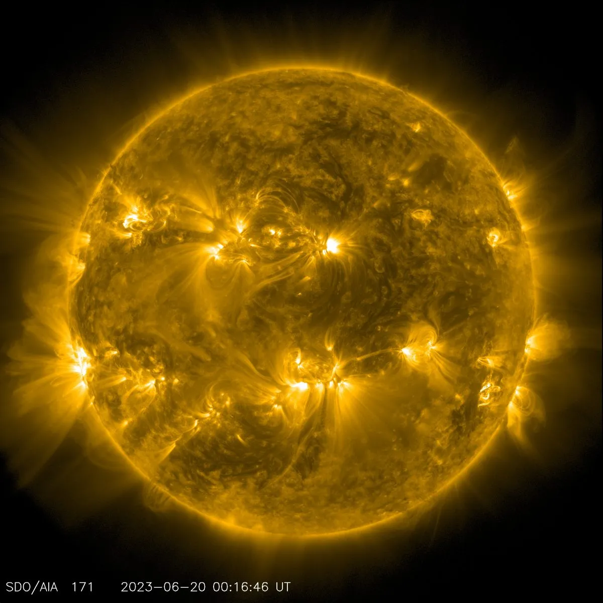 Solar flares erupted from the Sun on 20 June. Credit: SDO/AIA