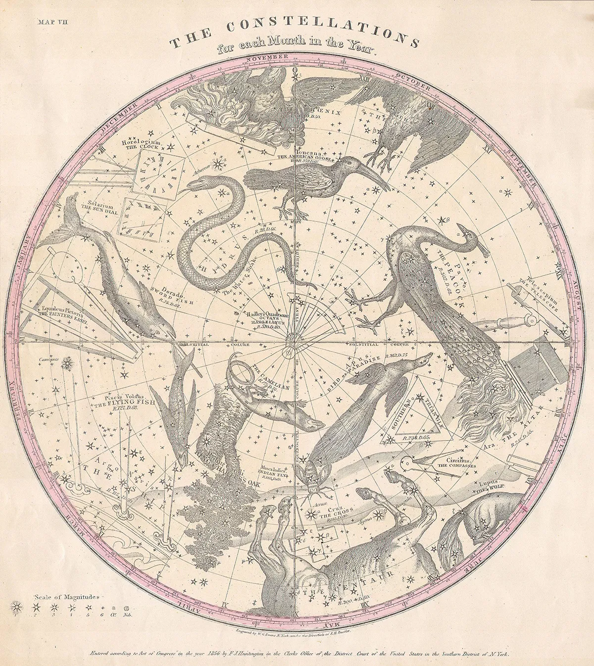1856 Map of the stars and constellations of the Southern Hemisphere. Photo by Sepia Times / Universal Images Group via Getty Images