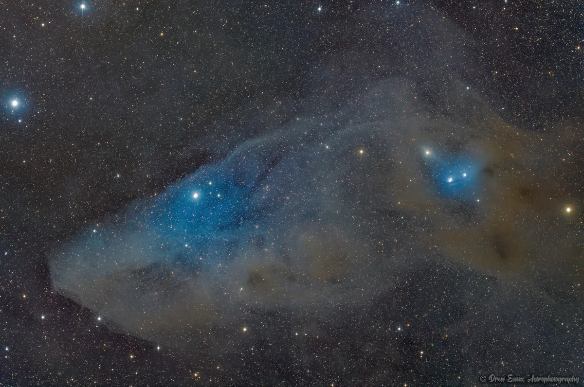 IC4592, the Blue Horsehead Nebula Drew Evans, Flagstaff, Arizona, USA, 24-27 May 2023 Equipment: ZWO ASI2600MM Pro CMOS camera, Askar V60 triplet apo, ZWO AM5 mount 