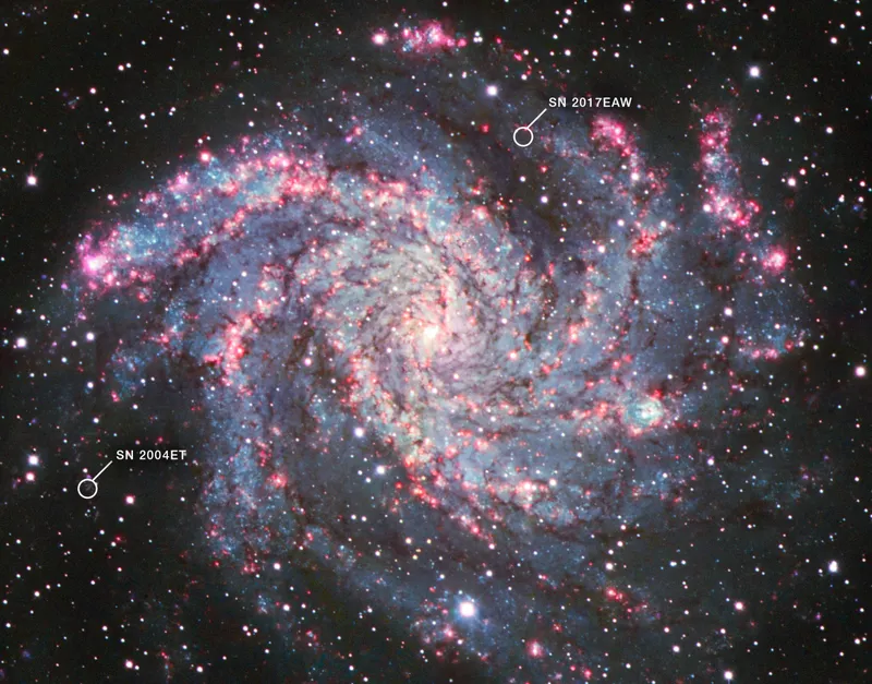 Image from Kitt Peak National Observatory of NGC 6496, showing the locations of Supernova 2004et and Supernova 2017eaw. Credits: KPNO, NSF's NOIRLab, AURA, Alyssa Pagan (STScI)