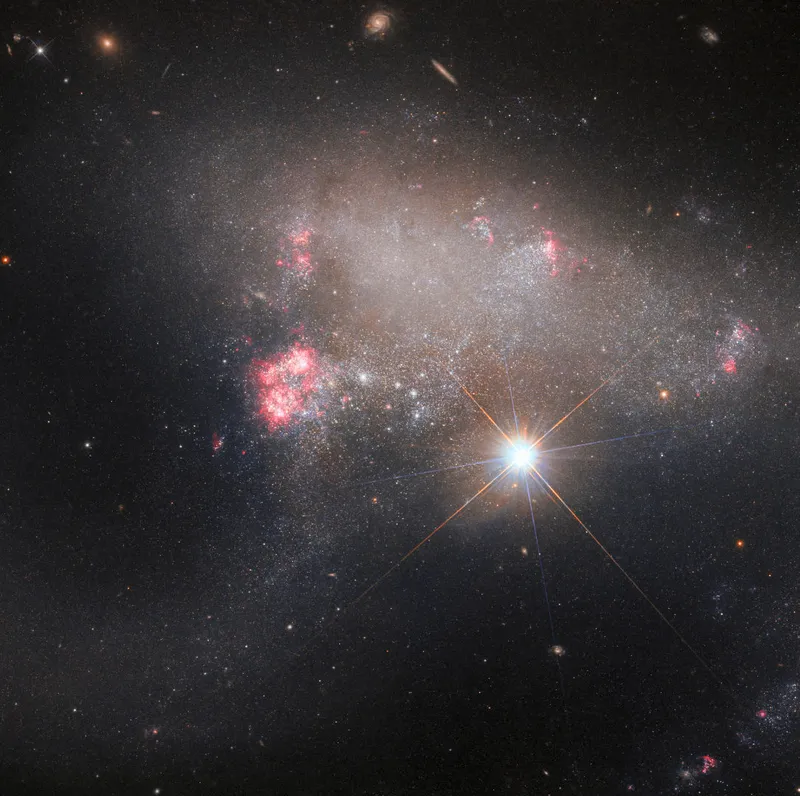 Galaxy Arp 263 Hubble Space Telescope, 17 July 2023 Credit: ESA/Hubble & NASA, J. Dalcanton, A. Filippenko