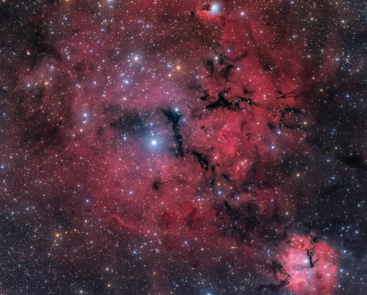A wide-field view of the the Gum 14/15 nebula complex, a pair of neighbouring emission nebulae in the constellation of Vela. Credit: ShaRA Team