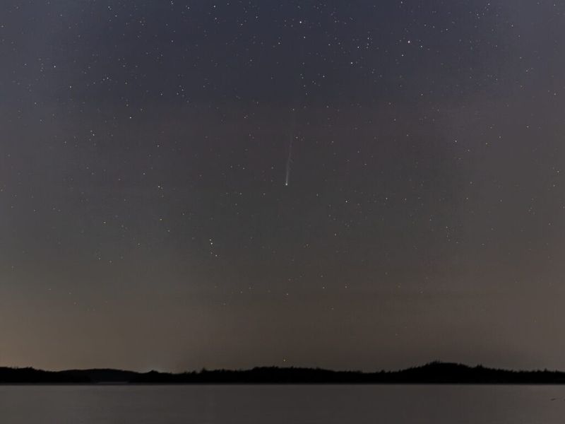 Cometa P1 Nishimura capturado por Barry Burgess desde el Parque Provincial Taylor Head, Nueva Escocia, Canadá, el 8 de septiembre de 2023. Equipo: Cámara Canon EOS 6D DSLR, Rokinon 135mm f2.0lands, marca Sears 200mm f3.5.  lente, trípode Berlebach, cabezal de engranaje Manfrotto, Sky-Watcher Star Adventurer