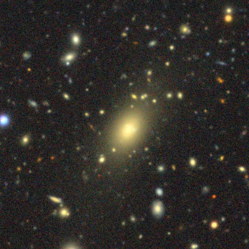 View of the Abell 1201 galaxy cluster, showing its supergiant galaxy Abell 1201 BCG. Credit: Legacy Surveys / D. Lang (Perimeter Institute)