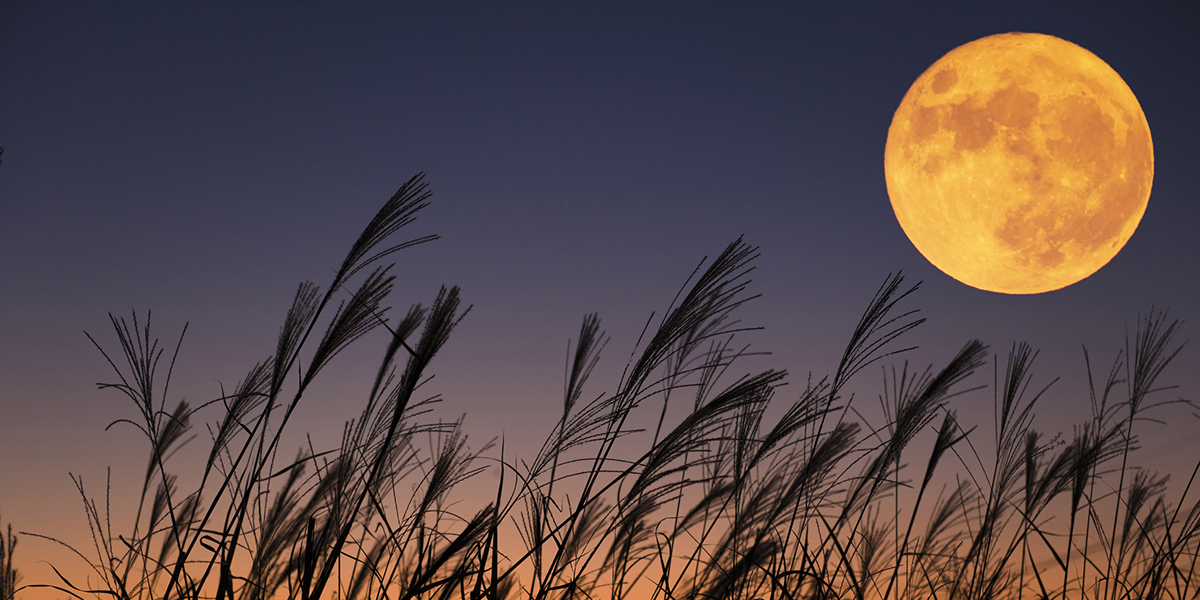 How to photograph the Harvest Moon