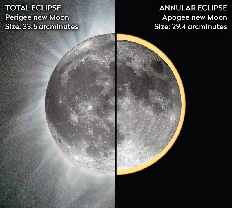 Total eclipse vs annular eclipse visually. The comparative sizes of perigee (nearest) and apogee (farthest away) Moons, and the two different types of eclipses they create. Credit: BBC Sky at Night Magazine