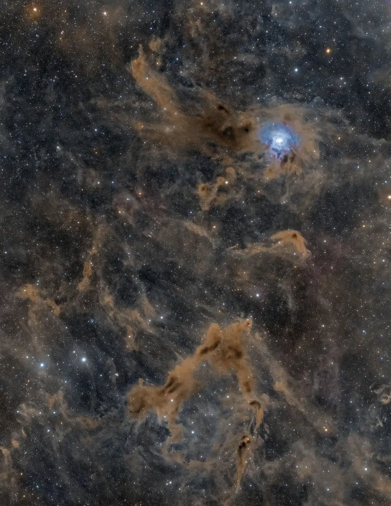 Iris Nebula Harshwardhan Pathak, captured remotely via Telescope Live, IC Astronomy Observatory, Spain, 11-13 August 2023 Equipment: QHY600Pro CMOS camera, Takashi FSQ-106EDX4 quadruplet apo refractor, Paramount MX  mount