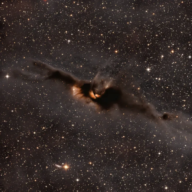 LDN43, the Cosmic Bat Nebula Daniel Stern, captured remotely via Deep Sky Chile, Rio Hurtado, Chile, 12-13 August 2023 Equipment: Moravian C4-16000C mono CMOS camera, PlaneWave CDK17 astrograph, PlaneWave L-500 mount