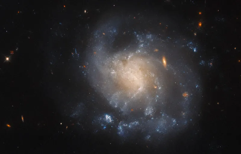 IC 1776 
Hubble Space Telescope, 4 September 2023
Credit: ESA/Hubble & NASA, A. Filippenko
