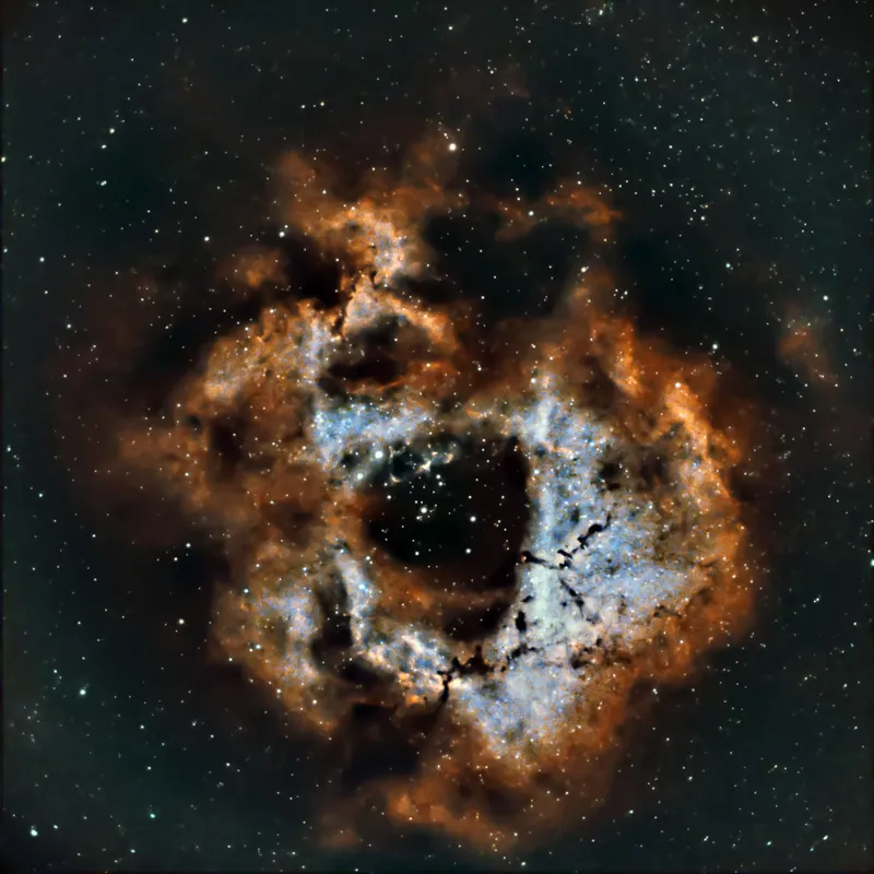 The Rosette Nebula Tim Naylor, Warrington, Cheshire, 5 October 2023 Equipment: ZWO ASI533MC-Pro colour CMOS camera, Explore Scientific ED102 triplet apo refractor, Sky-Watcher HEQ5 pro mount