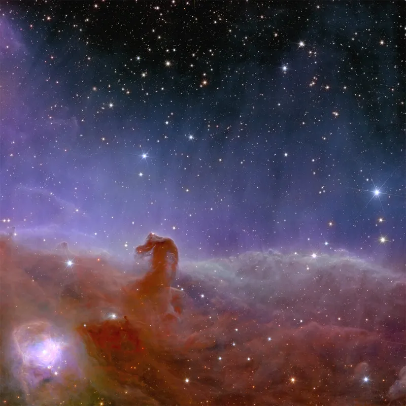The Horsehead Nebula, captured by the European Space Agency's Euclid mission. Released 7 November 2023. Credit: ESA/Euclid/Euclid Consortium/NASA, image processing by J.-C. Cuillandre (CEA Paris-Saclay), G. Anselmi; CC BY-SA 3.0 IGO