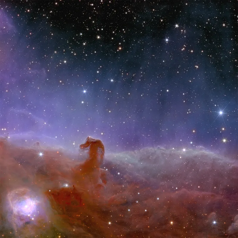 The Horsehead Nebula, captured by the European Space Agency's Euclid mission. Released 7 November 2023. Credit: ESA/Euclid/Euclid Consortium/NASA, image processing by J.-C. Cuillandre (CEA Paris-Saclay), G. Anselmi; CC BY-SA 3.0 IGO