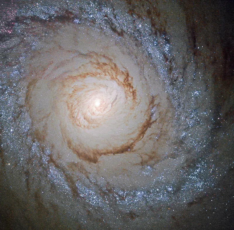 Una vista de Messier 94 capturada por el Telescopio Espacial Hubble.  Crédito: ESA/Hubble y NASA