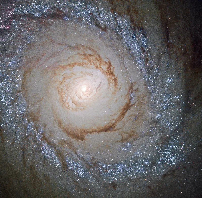 A view of Messier 94 captured by the Hubble Space Telescope. Credit: ESA/Hubble & NASA