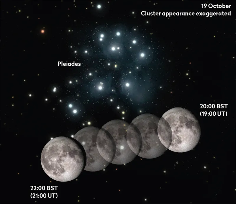 The Moon crossing the Pleiades open cluster on the evening of 19 October 2024 offers a chance to see occultations. Credit: Pete Lawrence