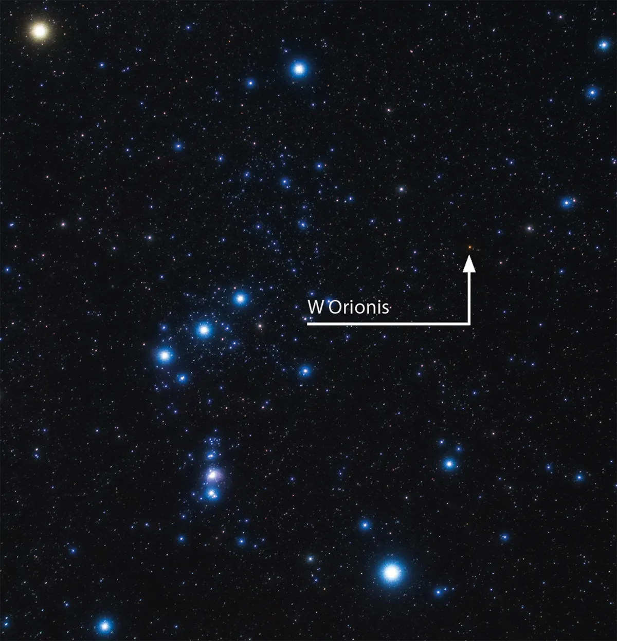 Image showing where to find star W Orionis in Orion. Credit: Will Gater