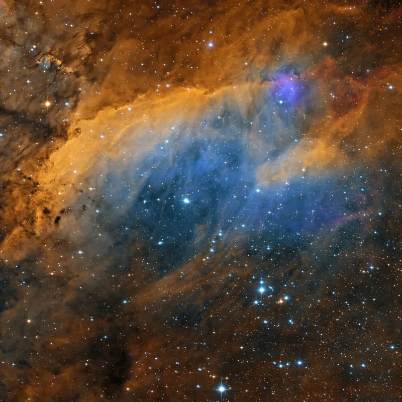 IC 4628, the Prawn Nebula
Daniel Stern, captured remotely via Telescope Live, Rio Hurtado, Chile, April 2023
Equipment: Moravian C4 CMOS camera, PlaneWave CDK17 OTA astrograph, PlaneWave L-500 mount
