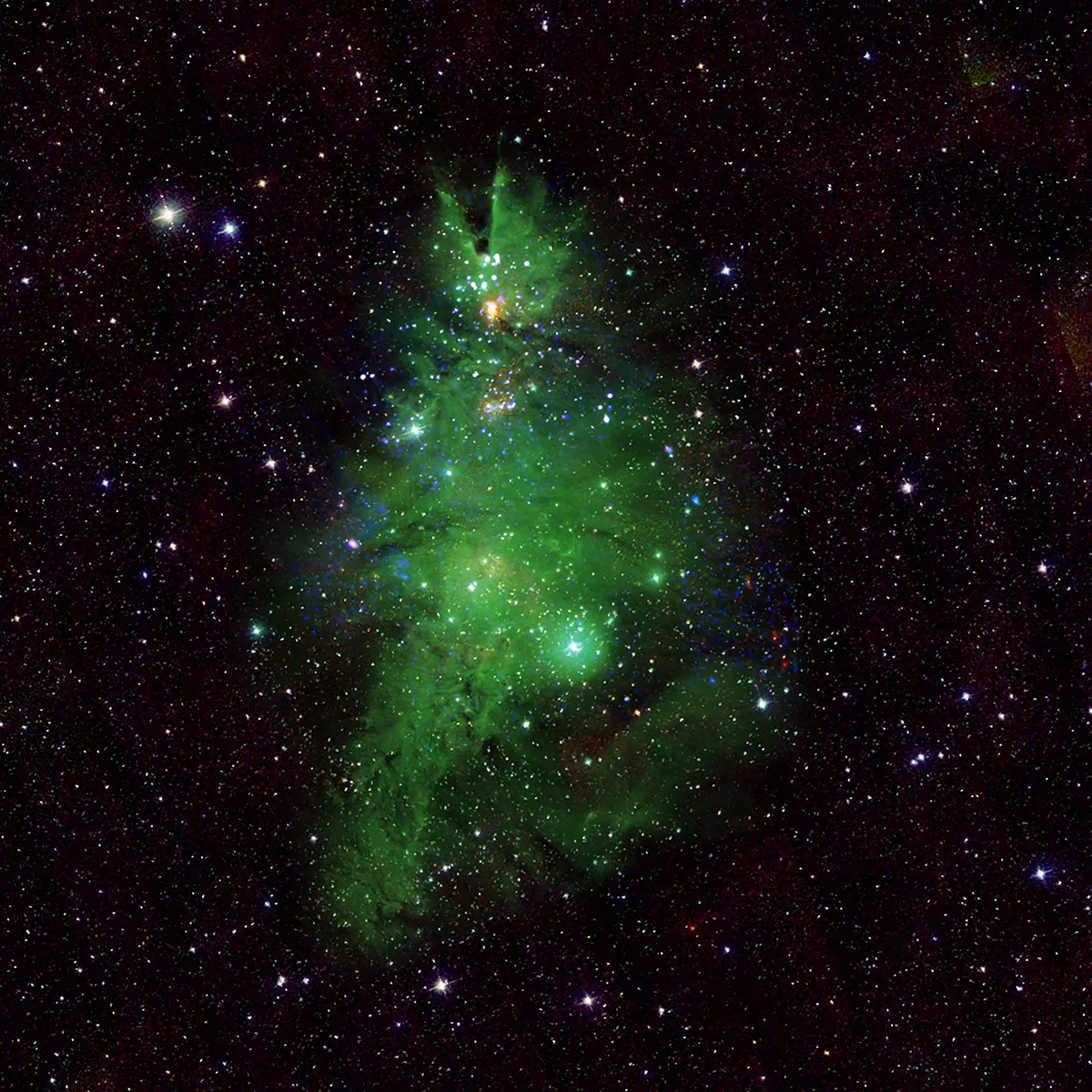 An image of the Christmas Tree Cluster processed to make it look more like a Christmas Tree. Blue and white 'lights' are young stars that give off X-rays detected by NASA’s Chandra X-ray Observatory. Green gas from the nebula is captured in optical light by the National Science Foundation’s WIYN 0.9-meter telescope on Kitt Peak. Infrared data from the Two Micron All Sky Survey shows foreground and background stars in white. Credit: X-ray: NASA/CXC/SAO; Optical: T.A. Rector (NRAO/AUI/NSF and NOIRLab/NSF/AURA) and B.A. Wolpa (NOIRLab/NSF/AURA); Infrared: NASA/NSF/IPAC/CalTech/Univ. of Massachusetts; Image Processing: NASA/CXC/SAO/L. Frattare & J.Major