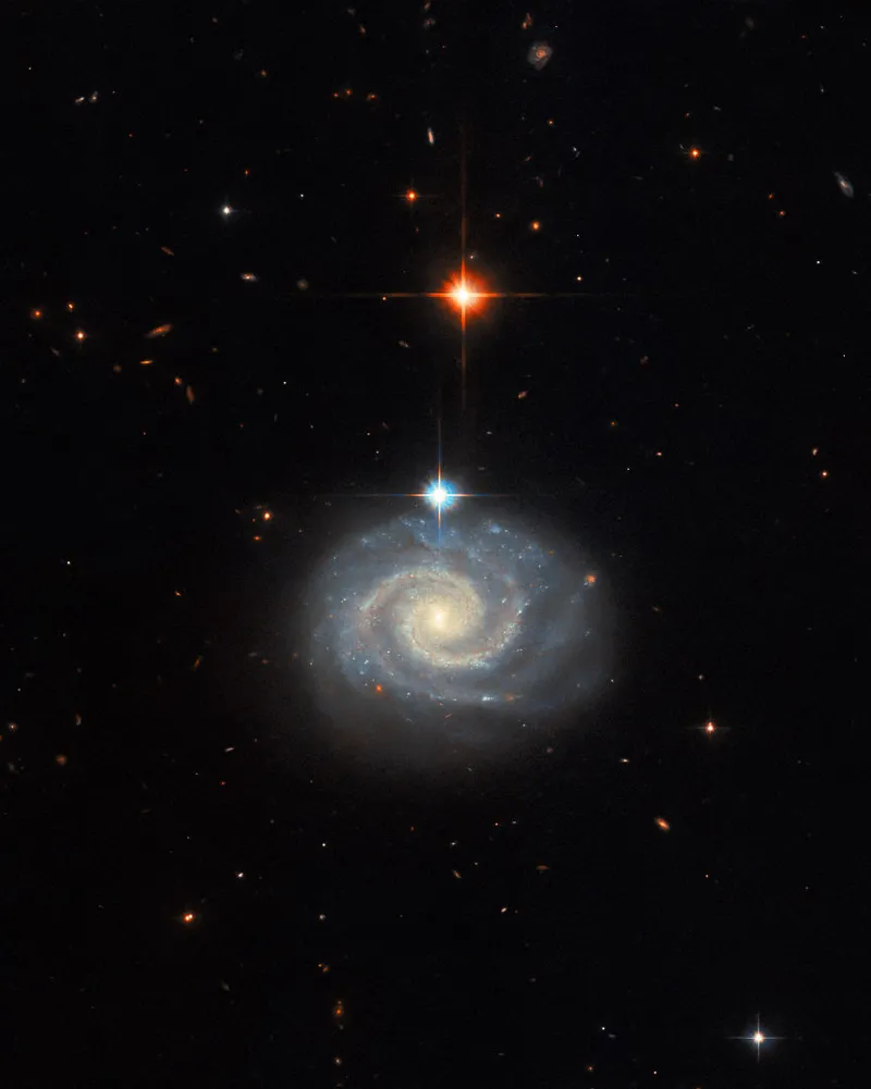 Spiral galaxy MCG-01-24-014 Hubble Space Telescope, 18 December 2023 Credit: ESA/Hubble & NASA, C. Kilpatrick