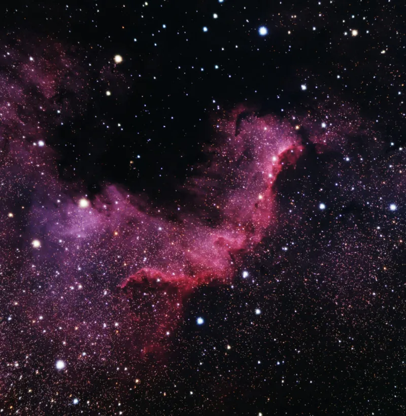 NGC 7000, the North American Nebula Graeme Lorimer, Dundee, Scotland, 11 November 2023 Equipment: ZWO ASI533MC Pro colour CMOS camera, William Optics Zenithstar 73 III apo refractor, Sky-Watcher EQM-35 Pro mount