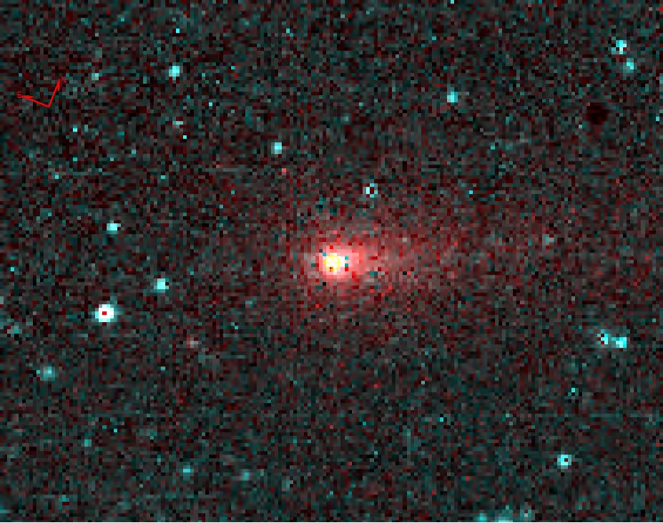 Image of Comet 62P/Tsuchinshan captured by the Near-Earth Object Wide-field Infrared Survey Explorer (NEOWISE), 14 January 2018. Credit: NEOWISE/JPL-Caltech
