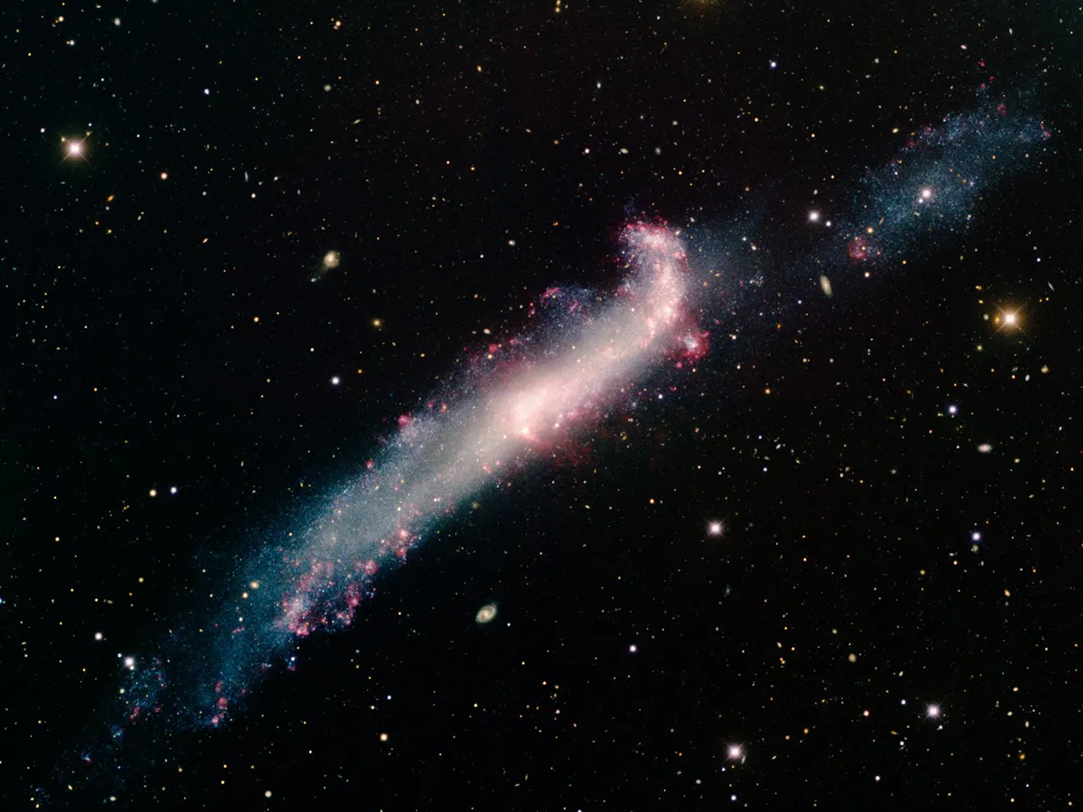 NGC 4656, the Hockey Stick Galaxy, as seen by the Mayall 4-meter telescope at Kitt Peak National Observatory. Credit:T.A. Rector (University of Alaska Anchorage) and H. Schweiker (WIYN and NOIRLab/NSF/AURA)