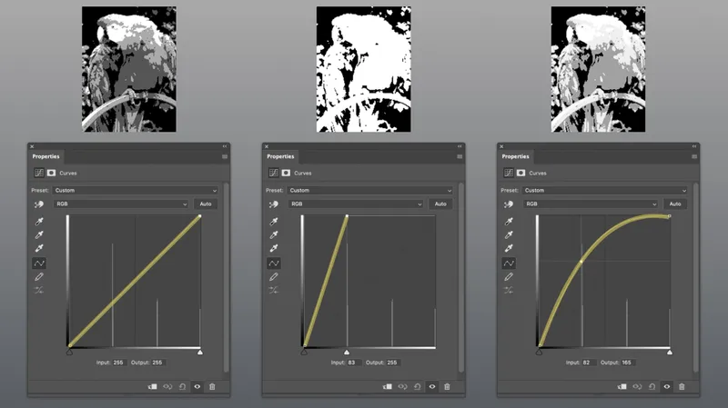 Three versions of a simple 2-bit greyscale image 
in which the pixel values have been changed using a curves adjustment