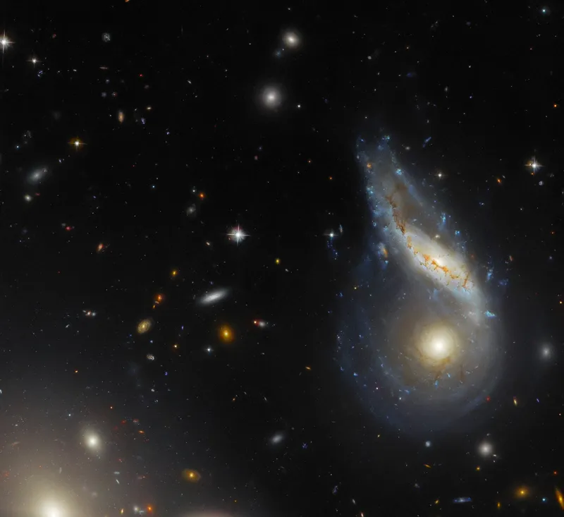 Peculiar galaxy Arp 122 Hubble Space Telescope, 8 January 2024 Credit: ESA/Hubble & NASA, J. Dalcanton, Dark Energy Survey/DOE/FNAL/DECam/CTIO/NOIRLab/NSF/AURA. Acknowledgement: L. Shatz