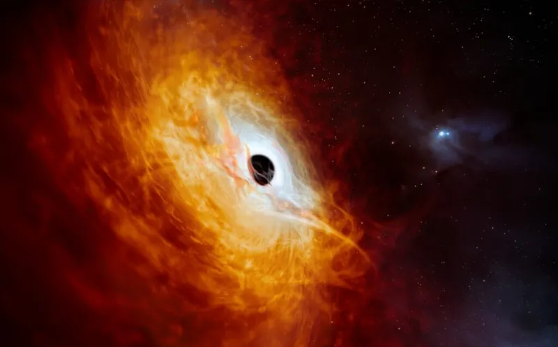 A black hole surrounded by a bright disc or dust and material