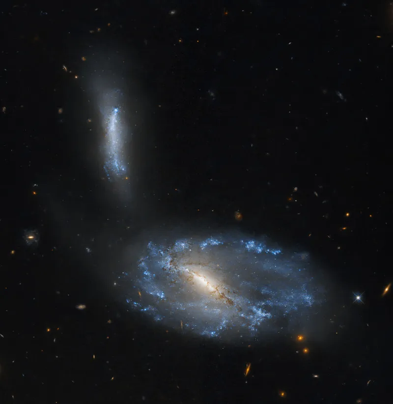 Interacting galaxies NGC 5410 and UGC 8932 Hubble Space Telescope, 26 January 2024 Credit: NASA/ESA/D. Bowen (Princeton University)/Processing: Gladys Kober (NASA/Catholic University of America)