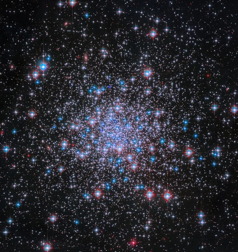 Globular cluster NGC 2298 Hubble Space Telescope, 14 February 2024 Credit: NASA, ESA, G. Piotto (Universita degli Studi di Padova), and A. Sarajedini (Florida Atlantic University); Processing: Gladys Kober (NASA/Catholic University of America)