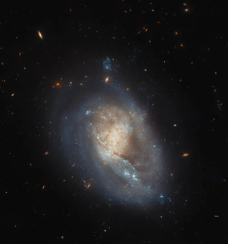 Dwarf galaxy IC 3476 Hubble Space Telescope, 19 February 2024 Credit: ESA/Hubble & NASA, M. Sun