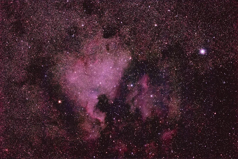 North America and Pelican Nebulae captured with the William Optics RedCat 61 WIFD Petzval apo refractor and Canon EOS R6 DSLR camera. Credit: Paul Money