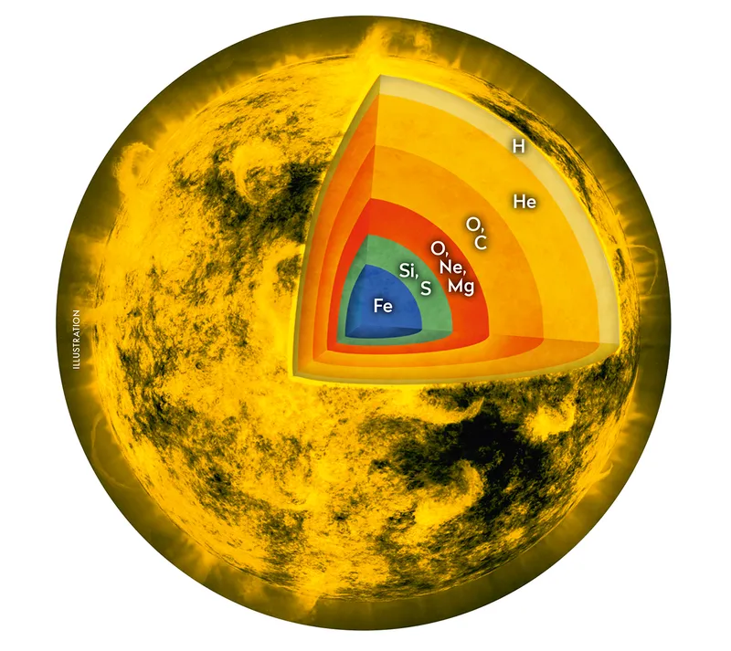 Simplified view of the distribution of elements in a core-collapsing star before it explodes. Credit: NASA/CXC/M. Weiss
