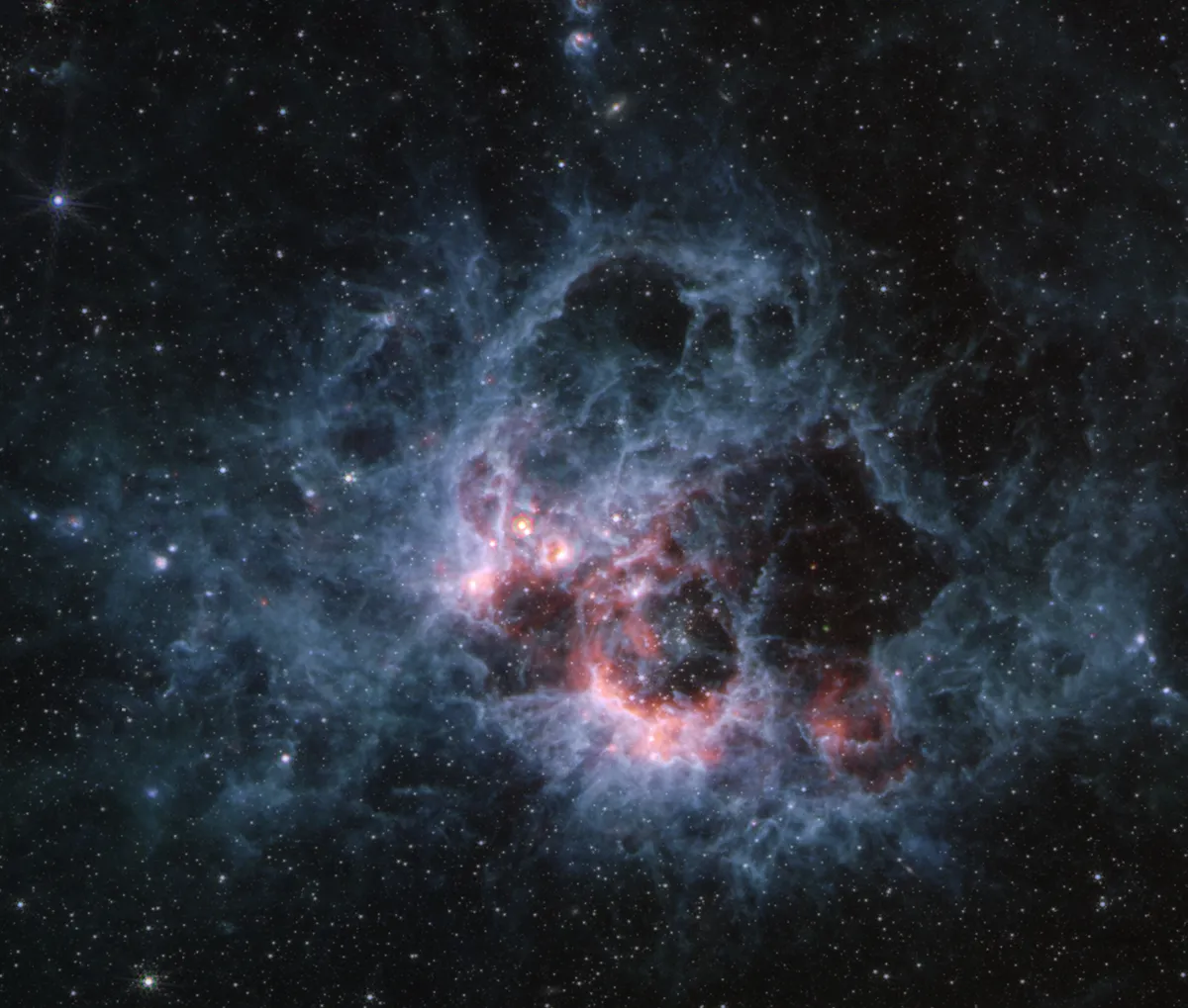 James Webb Space Telescope MIRI image of NGC 604 in the Triangulum Galaxy. Credit: NASA, ESA, CSA, STScI