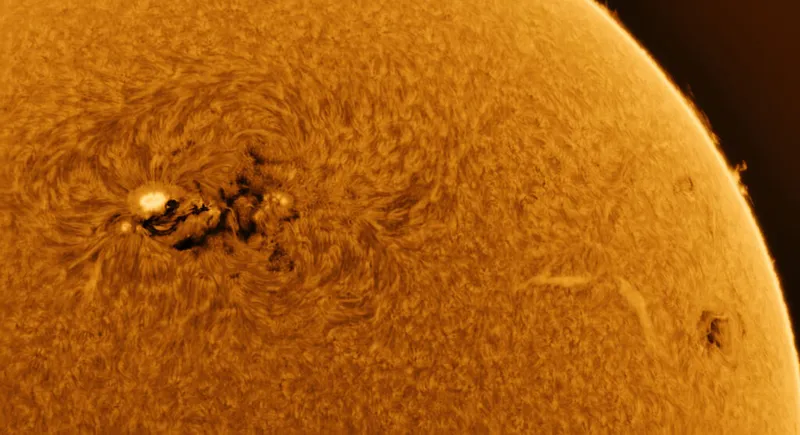 Solar flare in sunspot region 3590/3586 Harold Soto, Jacksonville, Florida, USA, 24 February 2024 Equipment: ZWO ASI290MM camera, Lunt LS60MT solar telescope, Sky-Watcher SolarQuest mount