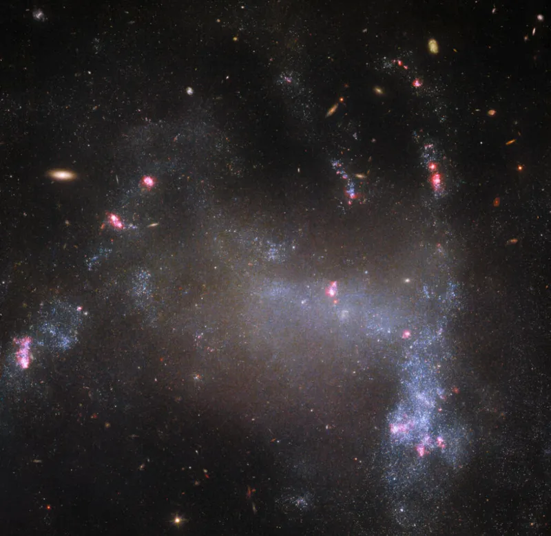 Irregular galaxy UGC 5829 Hubble Space Telescope, 18 March 2024 Credit: ESA/Hubble & NASA, R. Tully, M. Messa