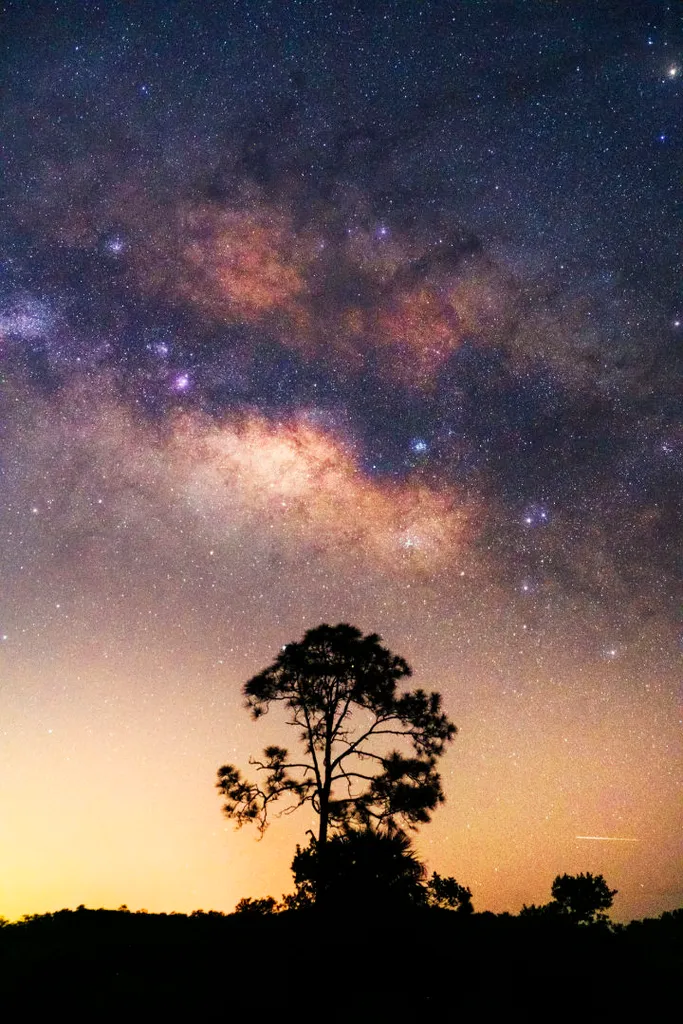 Milky Way over the Everglades Anthony Sleiman, Everglades National Park, Florida, USA, 8 April 2022 Equipment: Sony a7 III camera, Sony 24-70mm lens, Vanguard VEO 3T  234CB tripod