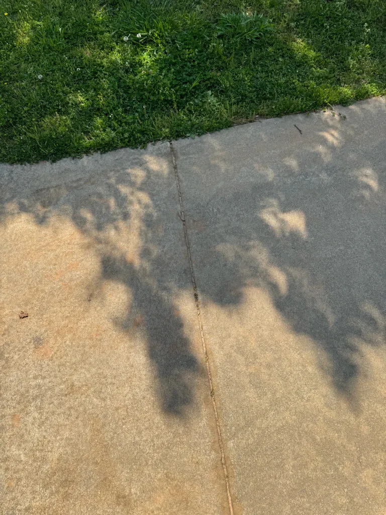 Shadows of the April 8 solar eclipse captured by Becky Ragsdale Winston, Georgia, USA, with an iPhone 15 Pro Max.