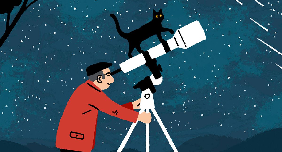 Astronomeow! Why cats are the best companions for stargazers and astronomers