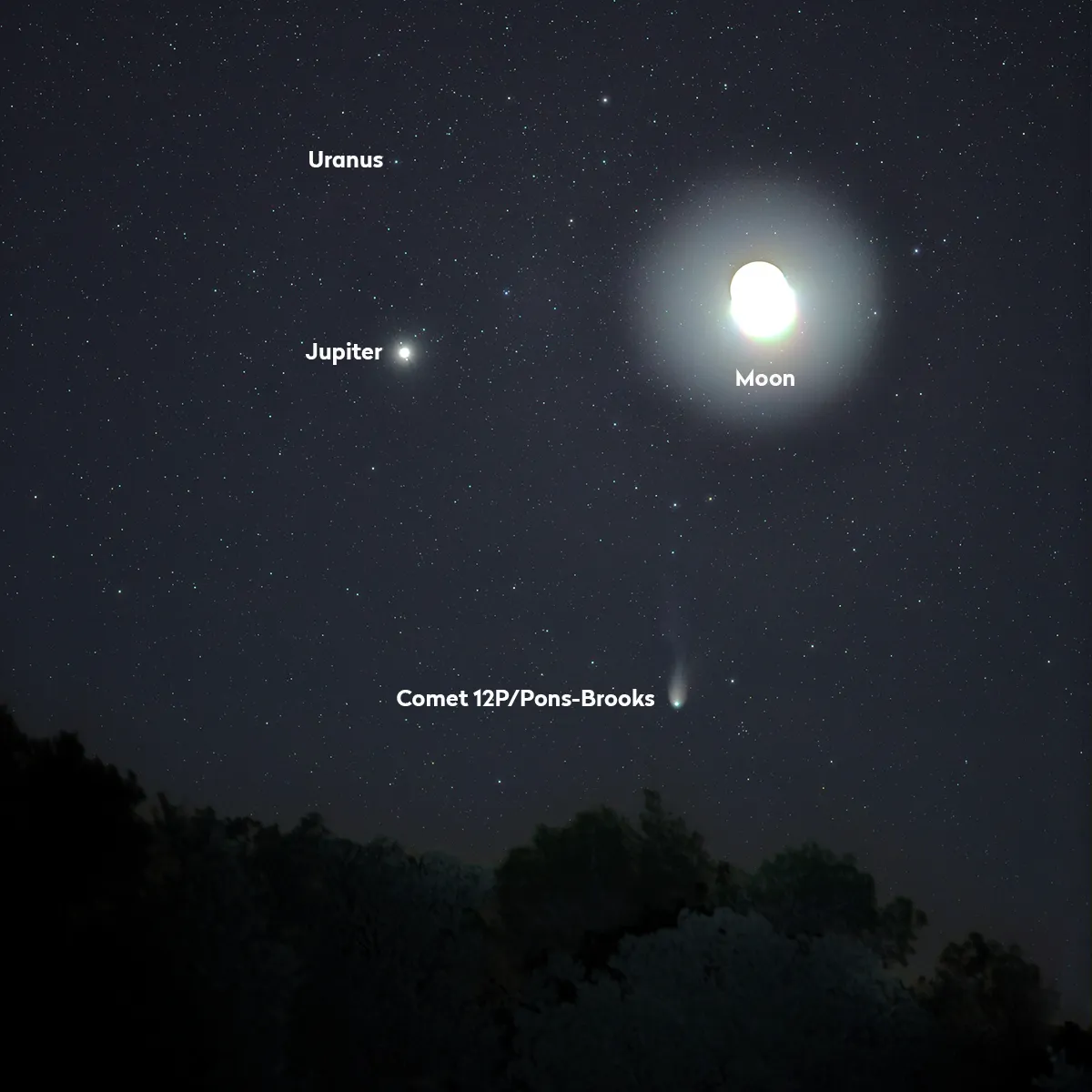 Image of Comet 12P/Pons-Brooks captured by José J. Chambo from Corral de la Muela, Ayora, Valencia, Spain, 10 April 2024, 19:57 UTC. Credit: José J. Chambó (www.cometografia.es)