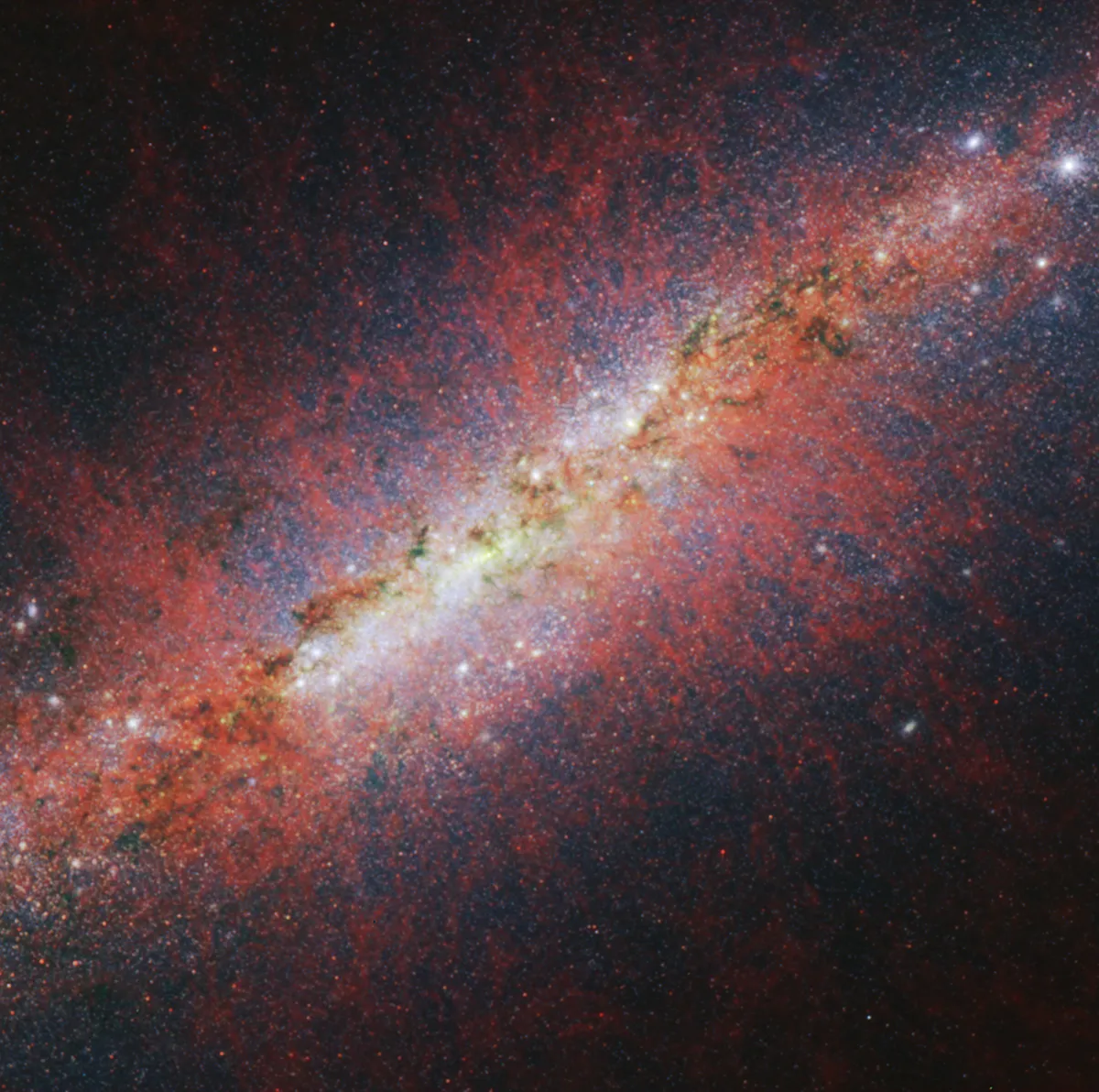 Image of galaxy M82 captured by the James Webb Space Telescope. Credit: NASA, ESA, CSA, STScI, Alberto Bolatto (UMD)