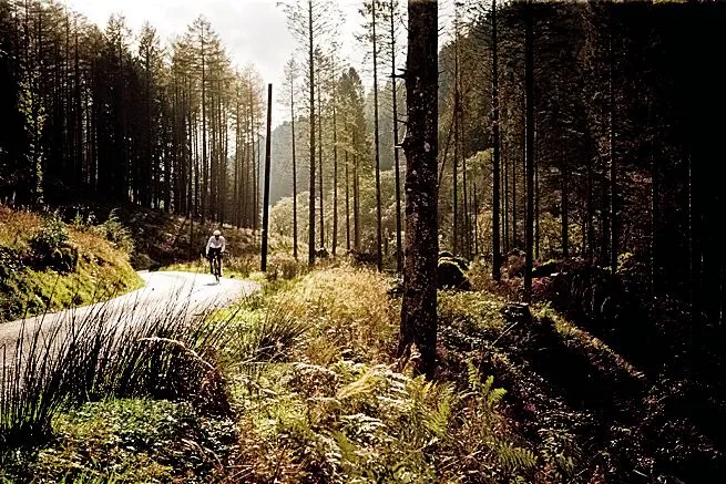 A cyclist rides through a conifer forest near Bala, North Wales