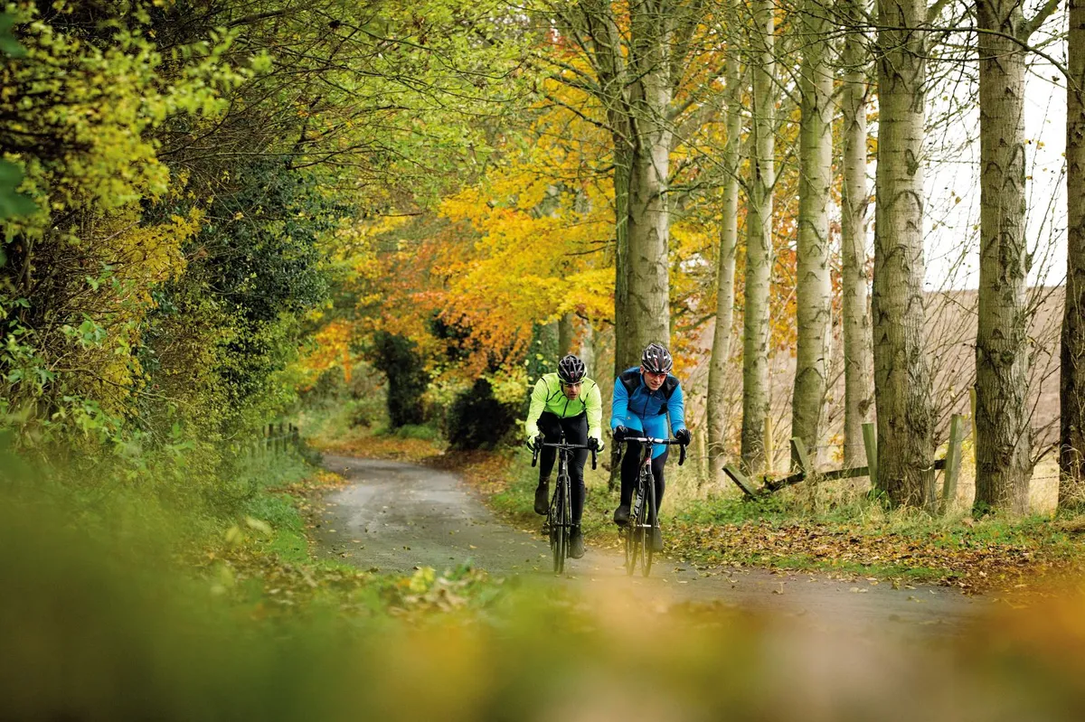 Two cyclists riding through a forest in the North Yorkshire moors
