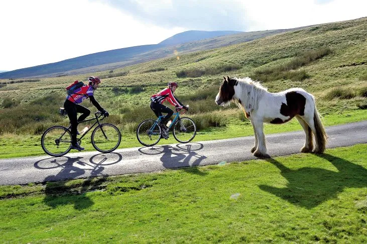 Two cyclists ride past a pony on a the moors in the North of England around Carlisle