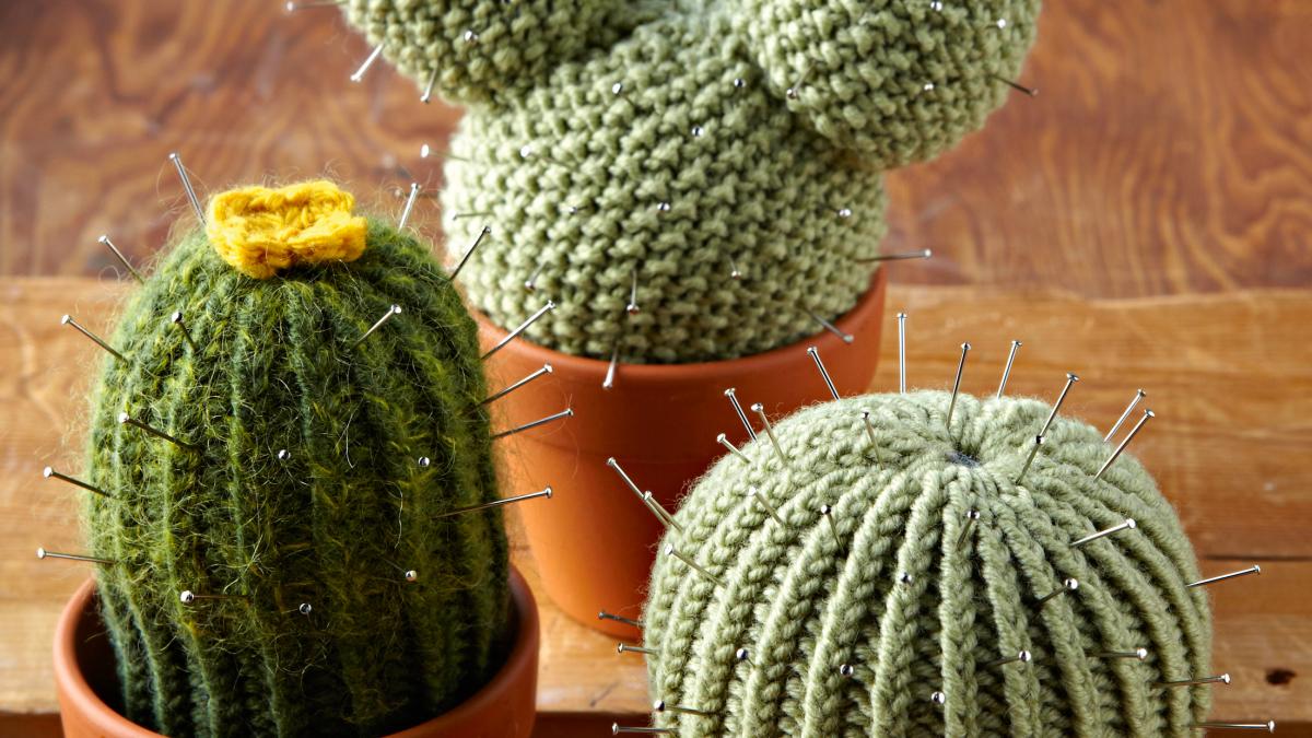 Free knitted cactus pattern